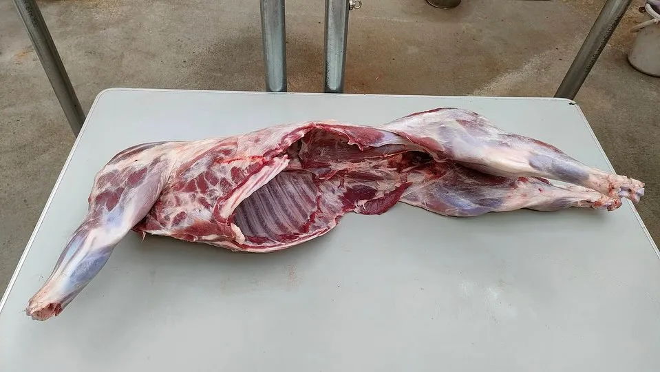 本日は10月最初の週末です。