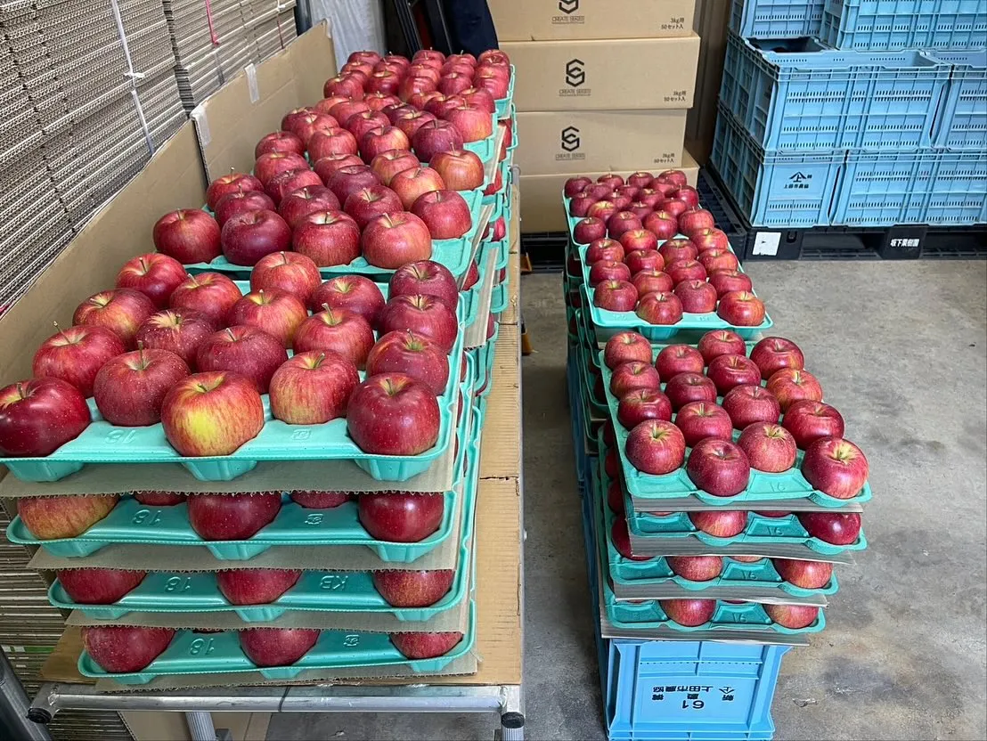 【調布マルシェ】