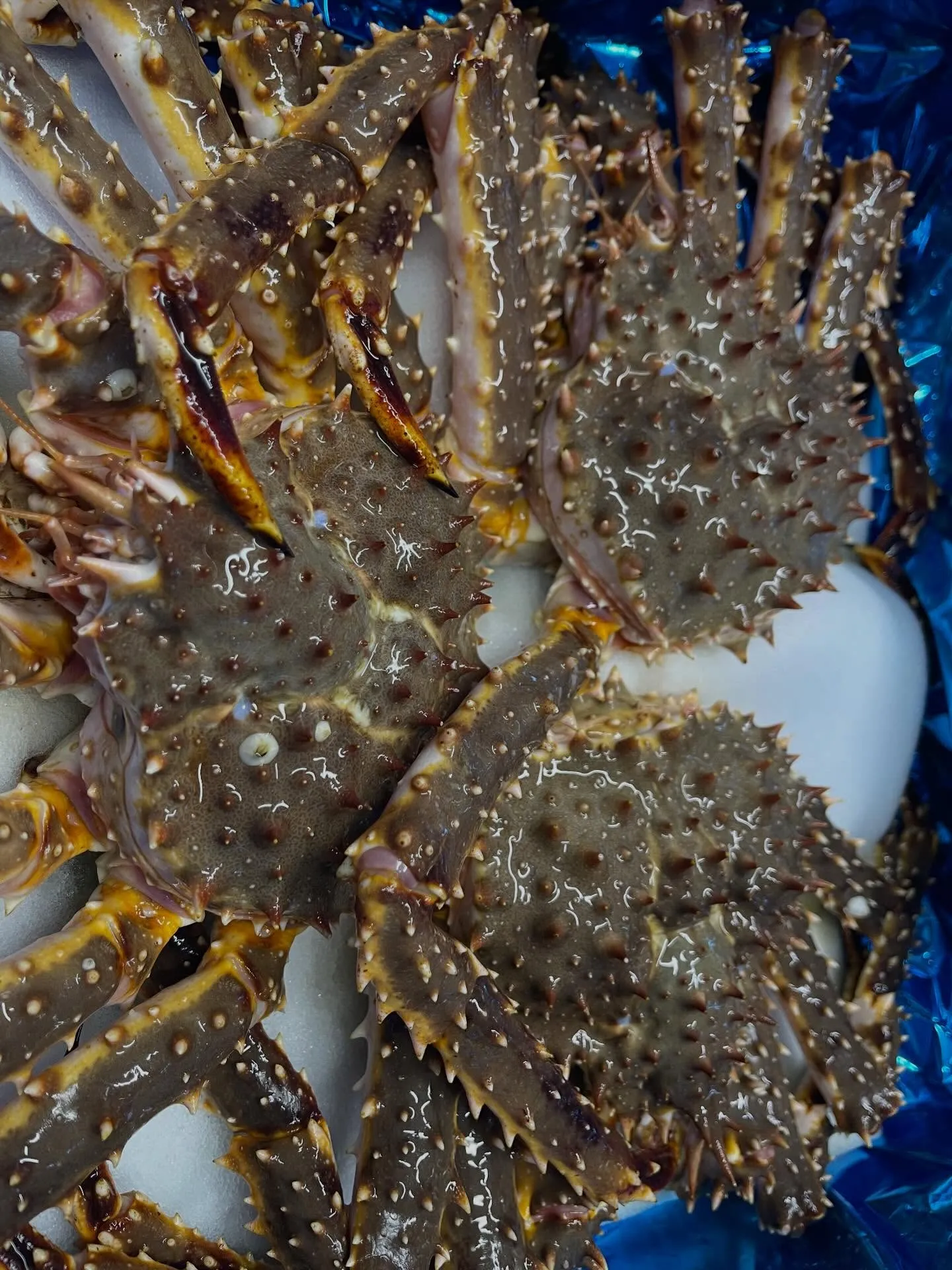 根室からタラバガニ到着